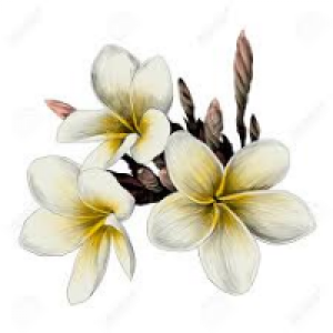 Profile avatar image for QuietDialogue