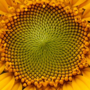 Profile avatar image for Taylor_Rogers