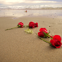 Profile avatar image for dsmeisner