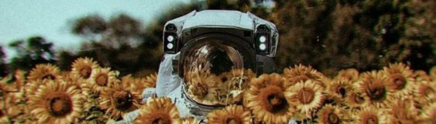 Profile banner image for countingstars