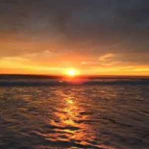 Profile avatar image for Vik