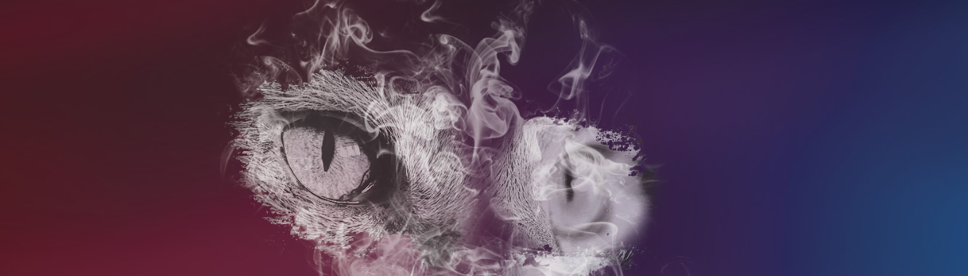 Profile banner image for KassandraDick