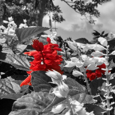 Profile avatar image for Smw2199