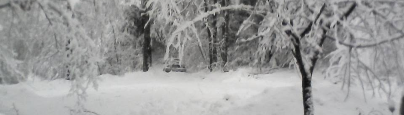 Profile banner image for Bmitchell