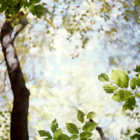 Profile avatar image for claywack