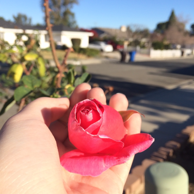 Profile avatar image for Taylor