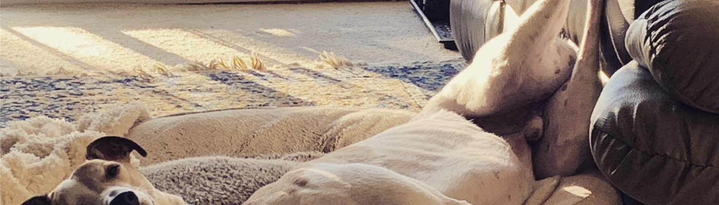 Profile banner image for Wally0031