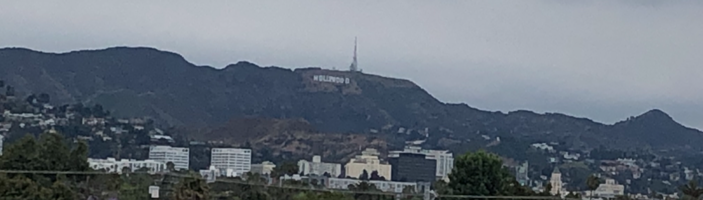 Profile banner image for lsgmsu1