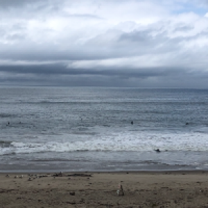 Profile avatar image for lsgmsu1