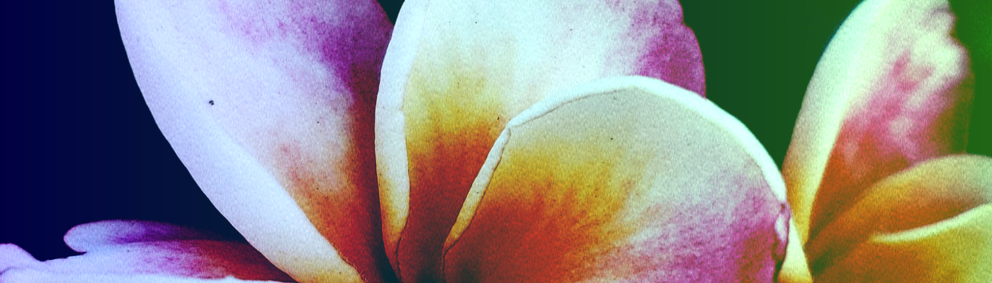 Profile banner image for benny