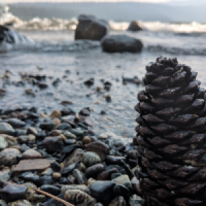 Profile avatar image for thoughtsandtea