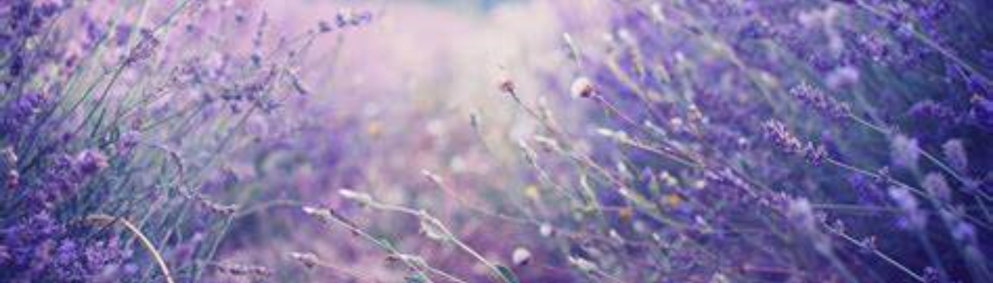 Profile banner image for creativeportal