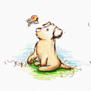 Profile avatar image for Tdurand