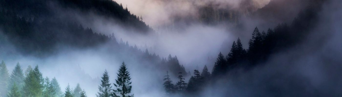 Profile banner image for hazymountain