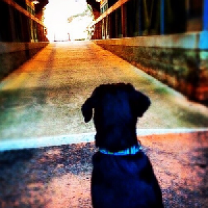 Profile avatar image for JaydenHawk