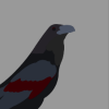 Profile avatar image for RedwingRaven