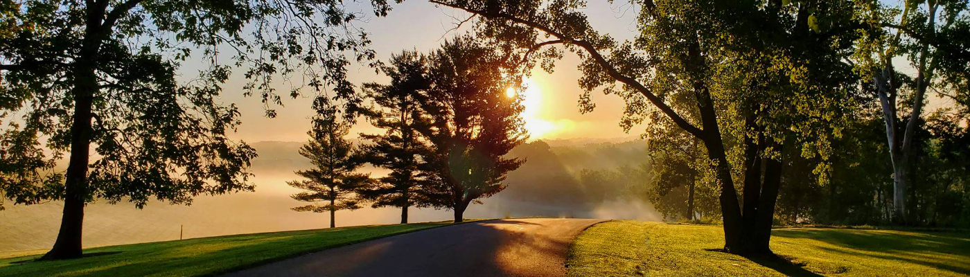 Profile banner image for SunceraySalazar