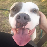 Profile avatar image for Wildflower