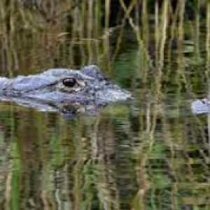 Profile avatar image for smile1198