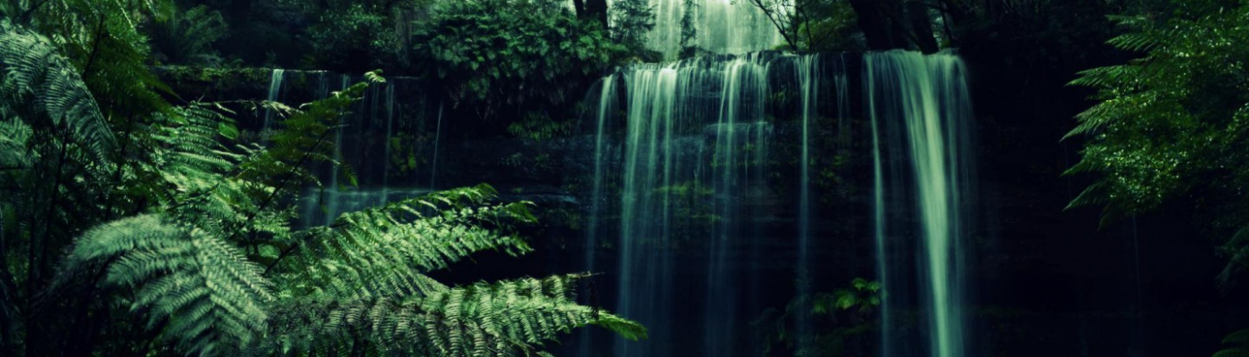 Profile banner image for stumble