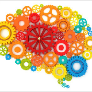 Profile avatar image for BrodieJ06