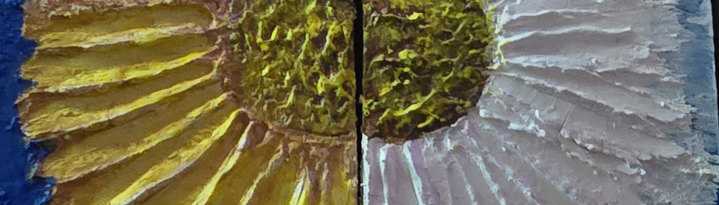 Profile banner image for Vyxyn