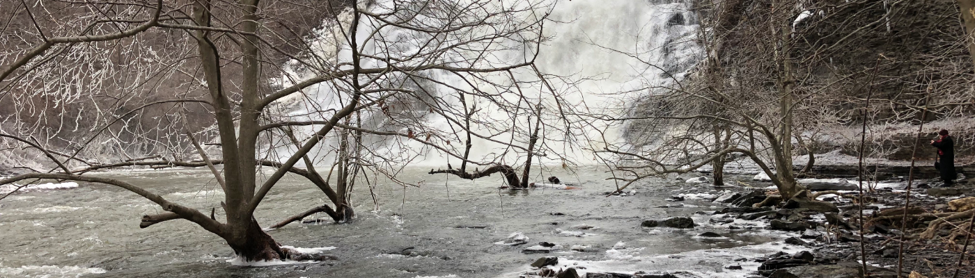 Profile banner image for melian