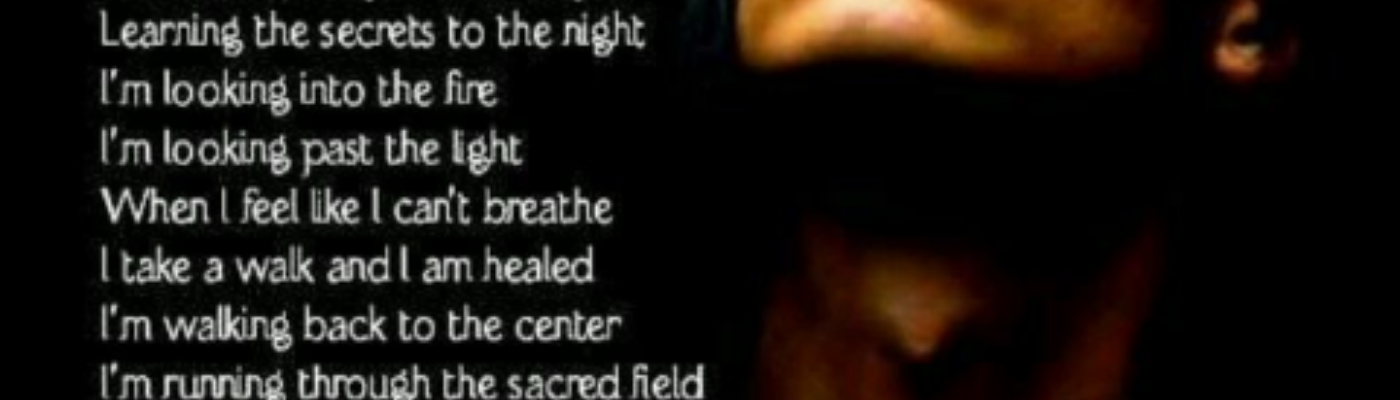 Profile banner image for GlitterBunny