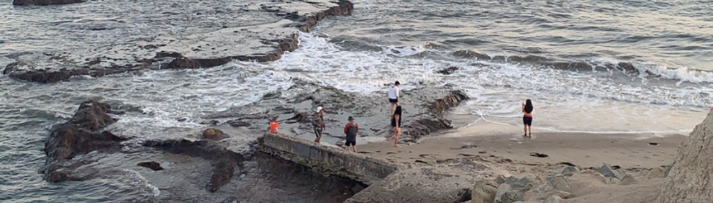 Profile banner image for yellowlemons