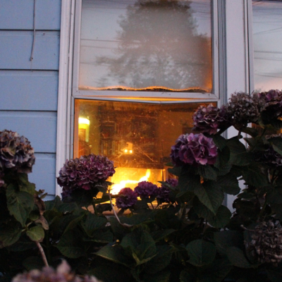 Profile avatar image for phosphorescent