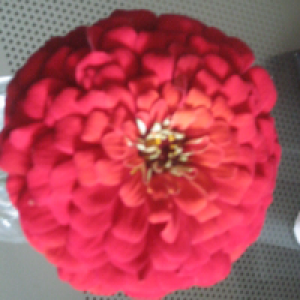 Profile avatar image for darkowl