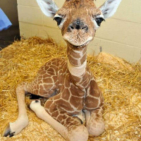 Profile avatar image for UhOhSusan