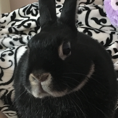 Profile avatar image for Jordan