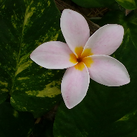 Profile avatar image for possumbilities