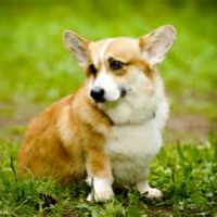 Profile avatar image for crazyismynormal