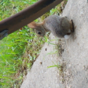 Profile avatar image for pl