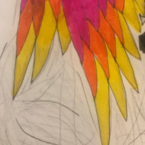 Profile avatar image for CrowSF