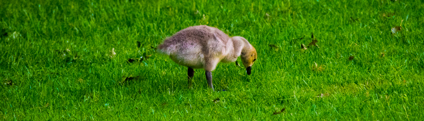 Profile banner image for UnknownConcept