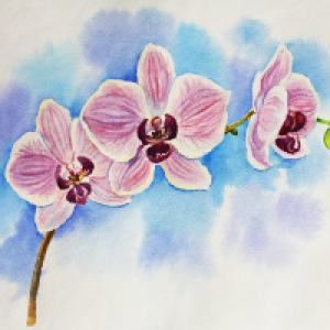 Profile avatar image for livydo2