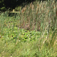 Profile avatar image for Bjeans