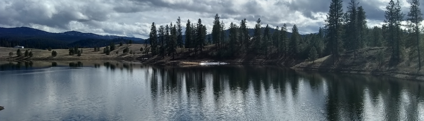 Profile banner image for FlowerFish