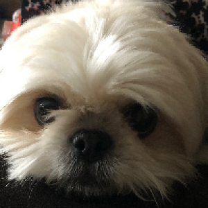 Profile avatar image for NorthStar