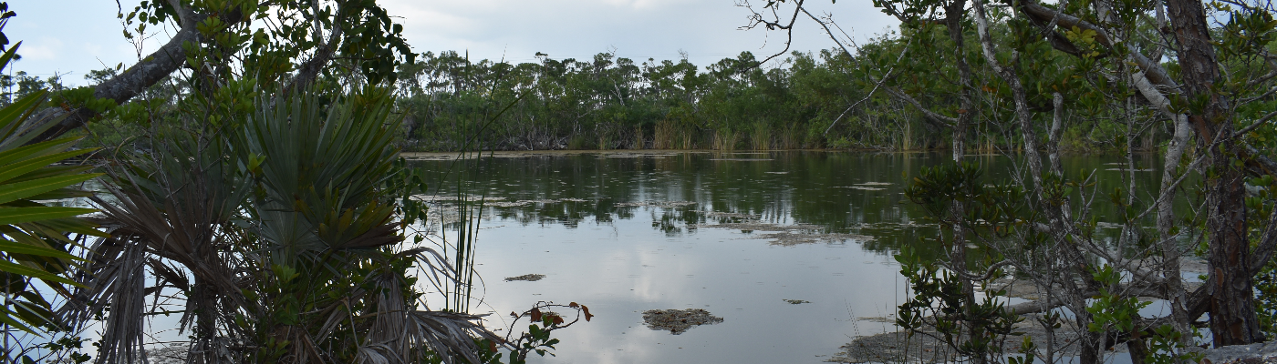 Profile banner image for SerenityX