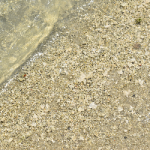 Profile avatar image for SerenityX