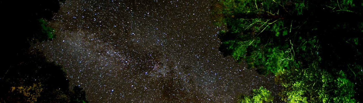 Profile banner image for BandirmaBlue