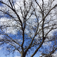 Profile avatar image for coachneo