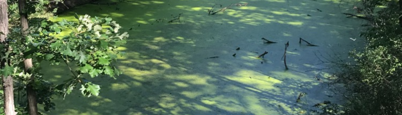 Profile banner image for Africana123