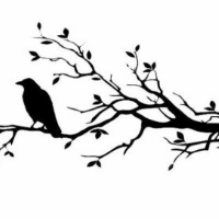 Profile avatar image for DeliriousDamsel