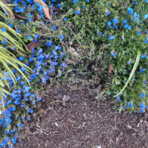 Profile avatar image for Dolcevida360