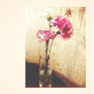 Profile avatar image for oheynovember